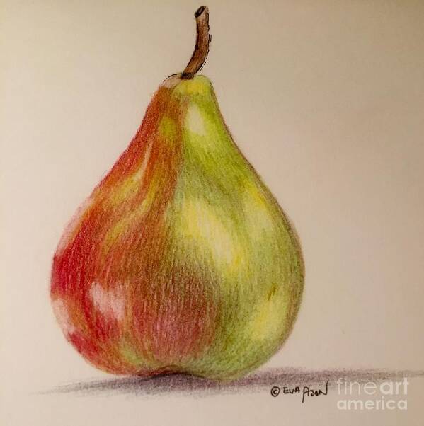 #illustration #apple #fruit #drawing Poster featuring the drawing The Pear by Eva Ason