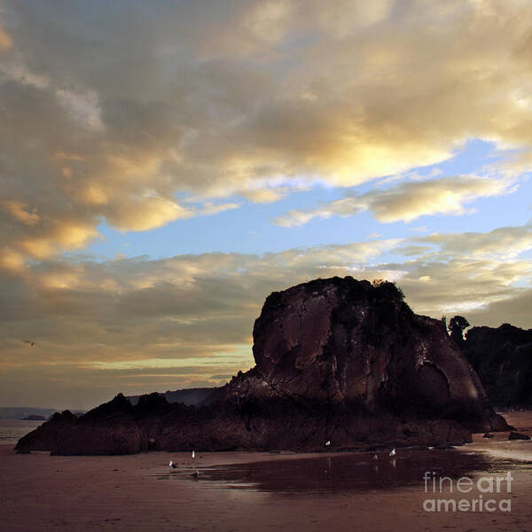 Tenby Poster featuring the photograph The rock by Ang El