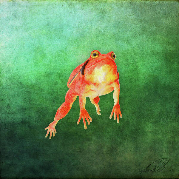 Frog Poster featuring the painting Tomato frog by Gary D Baker