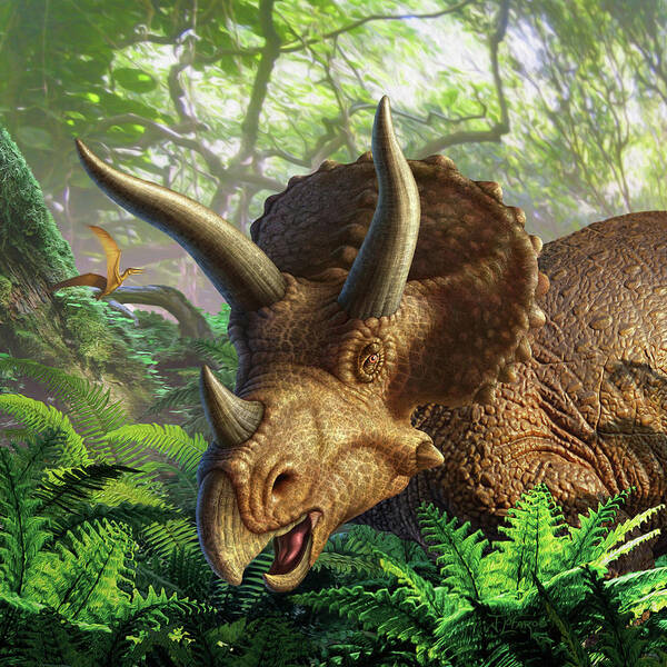 Triceratops Poster featuring the digital art Triceratops by Jerry LoFaro