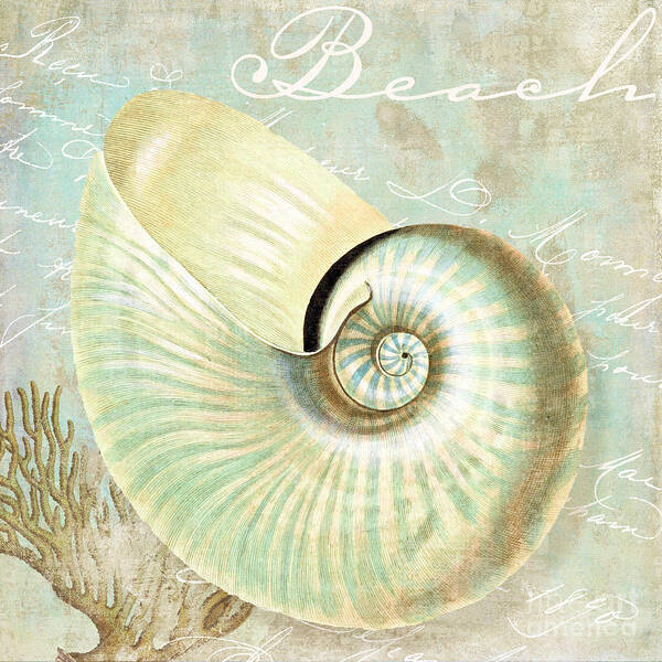 Nautilus Poster featuring the painting Turquoise Sea Nautilus by Mindy Sommers