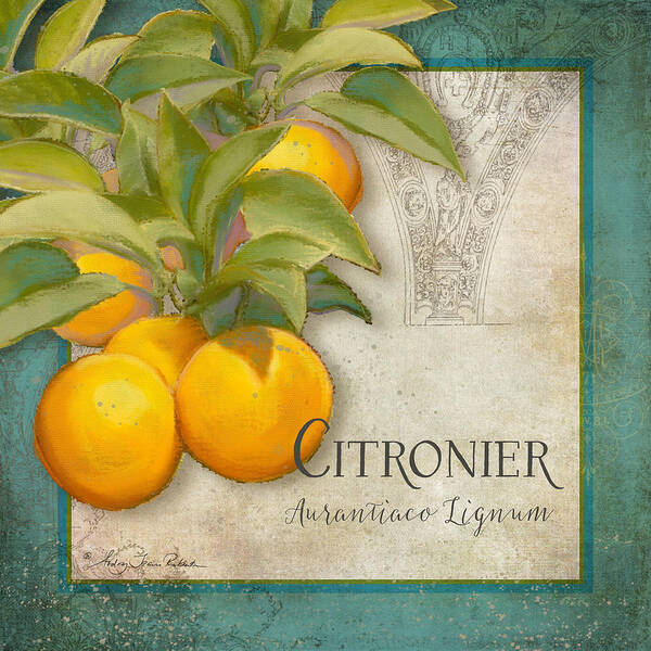 Orange Poster featuring the painting Tuscan Orange Tree - Citronier Aurantiaco Lignum Vintage by Audrey Jeanne Roberts