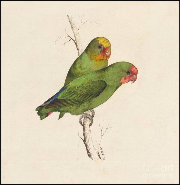 Two Small Green Birds Hand - Colored Lithograph Poster featuring the painting Two small green birds hand by MotionAge Designs