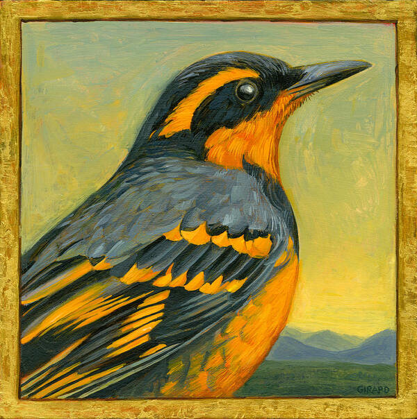 Bird Poster featuring the photograph Varied Thrush by Francois Girard