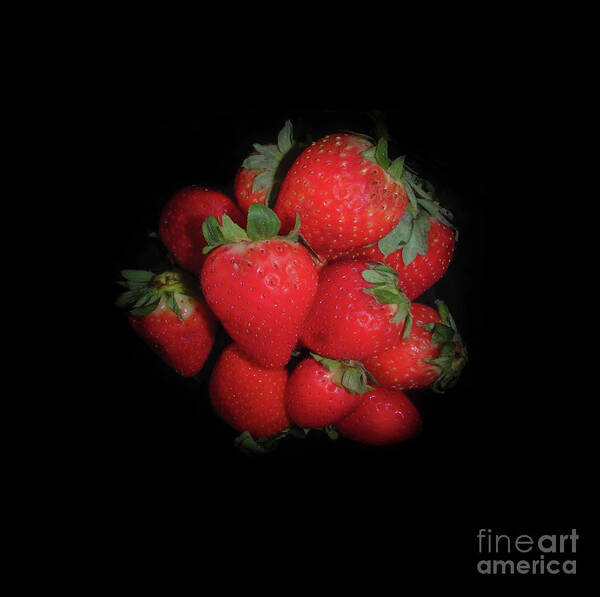 Strawberries Poster featuring the photograph Very Berry Strawberries by Judy Hall-Folde