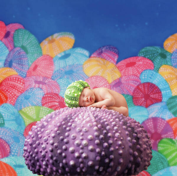 Under The Sea Poster featuring the photograph Vince as a Sea Urchin by Anne Geddes