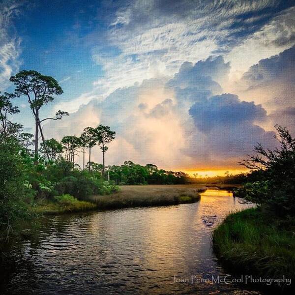 Oceanspringsmississippi Poster featuring the photograph Weeks Bayou Sunrise by Joan McCool