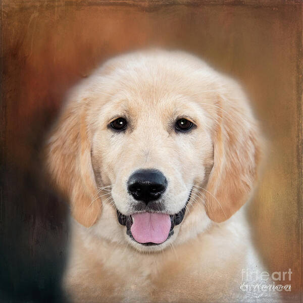 Golden Retriever Poster featuring the photograph What a Furball by Eleanor Abramson