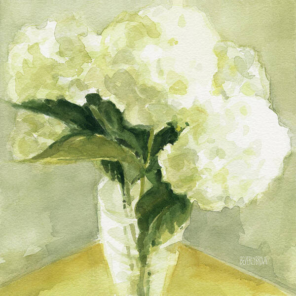 Floral Poster featuring the painting White Hydrangeas Morning Light by Beverly Brown