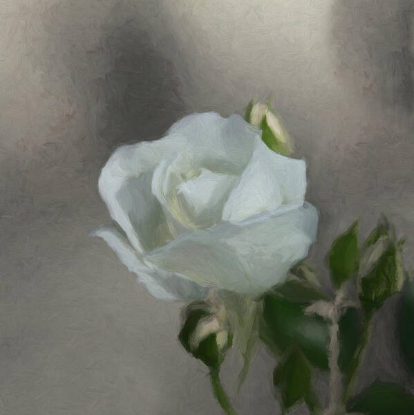 White Rose Poster featuring the digital art White Rose 2 by Ernest Echols