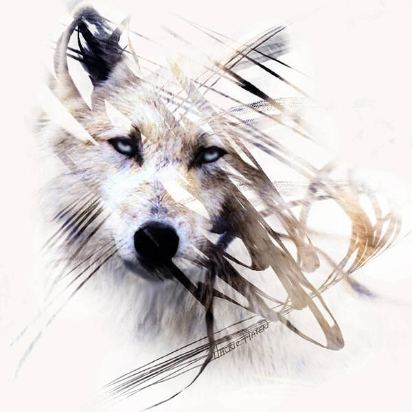 Canvas Prints Poster featuring the painting White Wolf by Jackie Flaten
