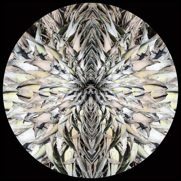 Bronze Flower Poster featuring the digital art Winged Praying Figure Kaleidoscope by Julia L Wright