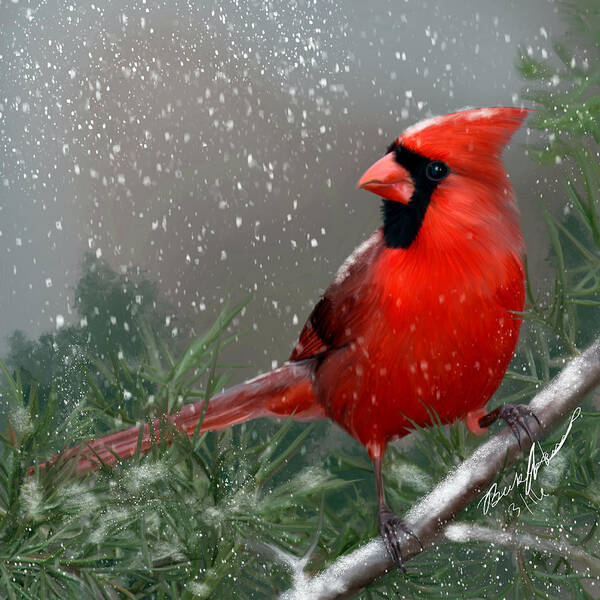 Bird Poster featuring the painting Winter Cardinal by Becky Herrera
