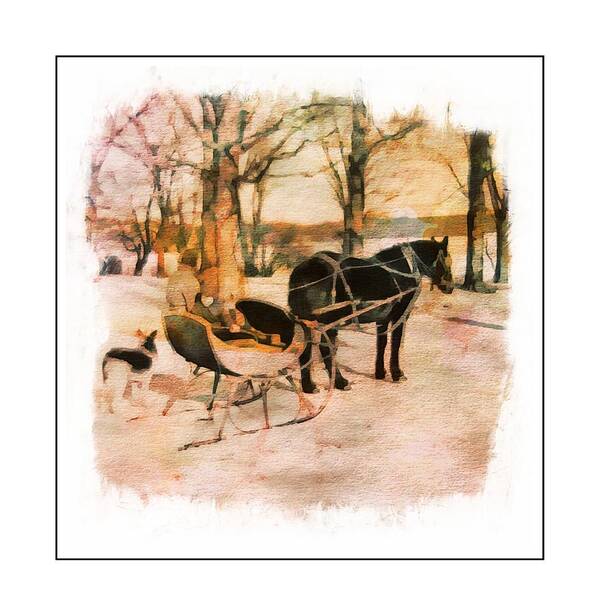 Horse Poster featuring the photograph Winter Horse Sled by Russ Considine