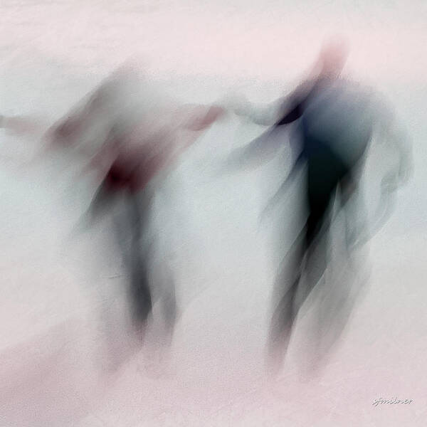 Abstracts Poster featuring the photograph Winter Illusions On Ice - Series 1 by Steven Milner