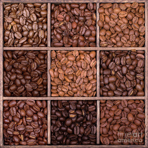 Coffee Poster featuring the photograph Wooden storage box filled with coffee beans by Jane Rix