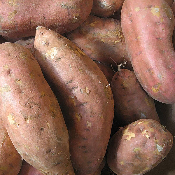 Fruit Poster featuring the photograph Yam by John Vincent Palozzi