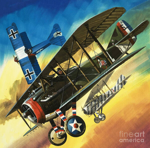 Freedom Of The Skies Poster featuring the painting Yankee Super Ace Edward Rickenbacker by Wilf Hardy