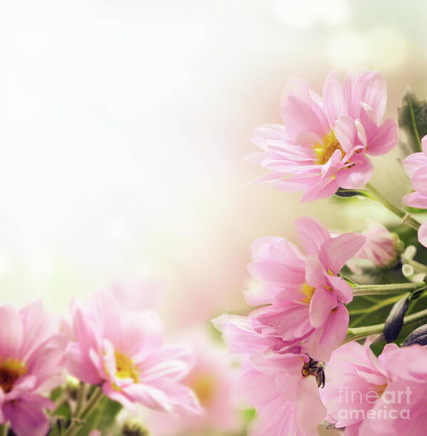 Flower Poster featuring the photograph Garden with pink flowers by Jelena Jovanovic