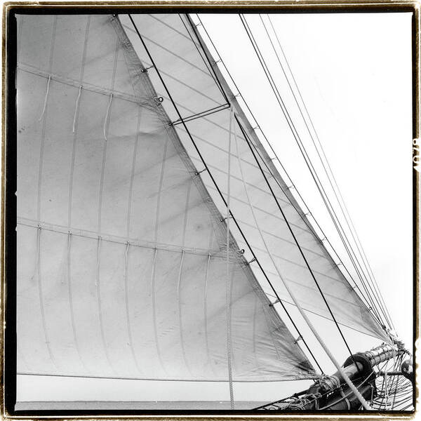 Photography Poster featuring the photograph Under Sail I #2 by Laura Denardo