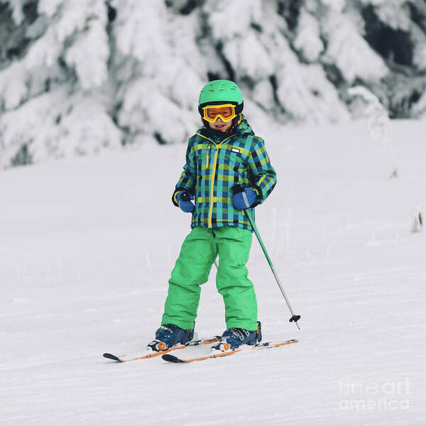 Skiing Poster featuring the photograph Boy Skiing #6 by Microgen Images/science Photo Library