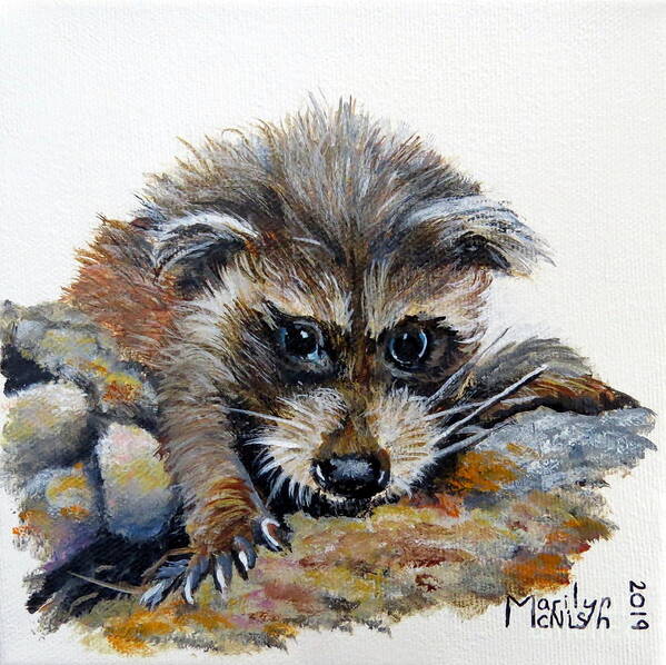 Raccoon Poster featuring the painting Baby Raccoon by Marilyn McNish