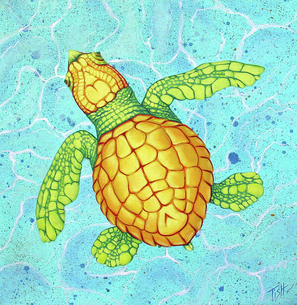 Turtle Poster featuring the painting Baby Sea Turtle by Tish Wynne