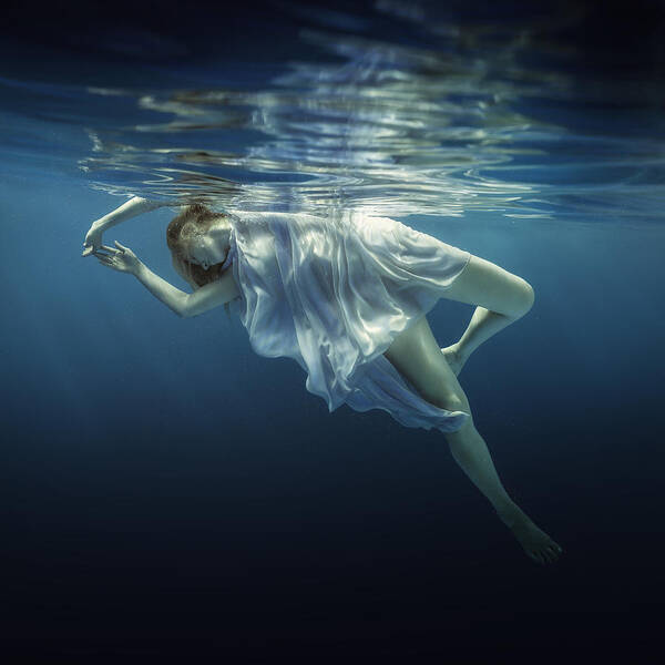 Woman Poster featuring the photograph Ballet by Dmitry Laudin