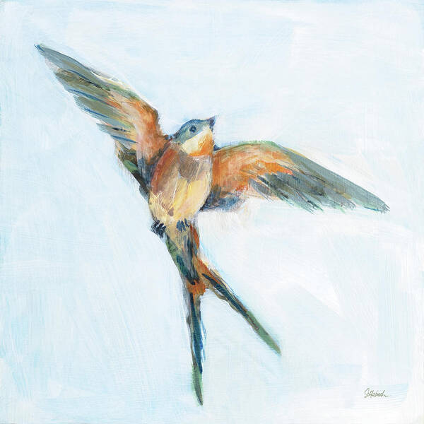 Animal Poster featuring the painting Barn Swallow Flight I by Sue Schlabach