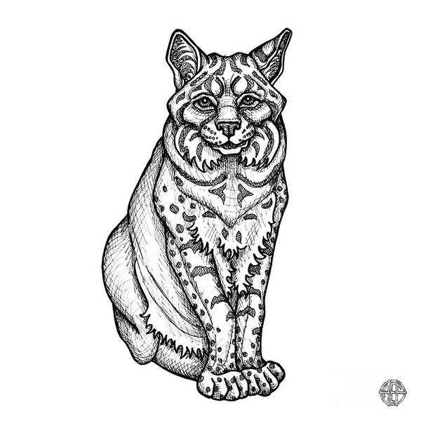 Animal Portrait Poster featuring the drawing Bobcat by Amy E Fraser