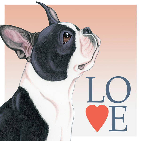 Boston terrier love outlet