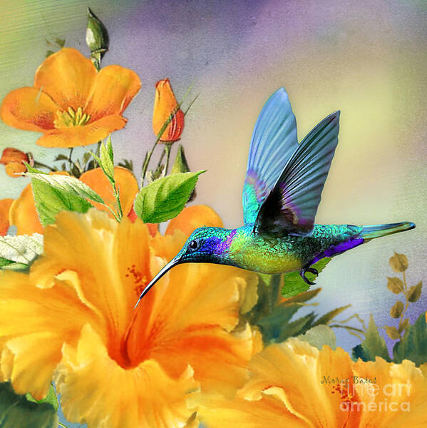 Hummingbird Poster featuring the digital art Bright and Beautiful by Morag Bates