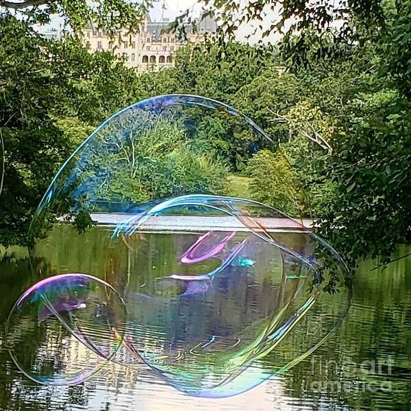 Spectacular Bubbles By Steve Poster featuring the photograph Bubbles at Biltmore by Anita Adams