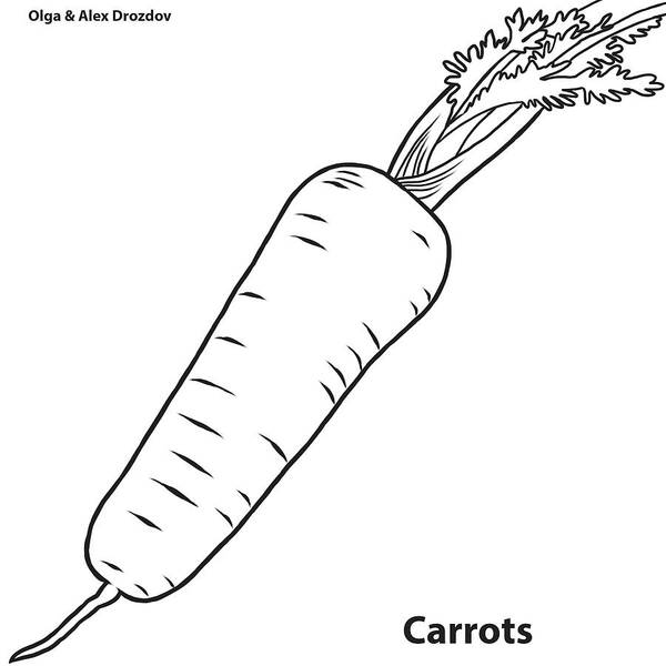 Stamp Poster featuring the digital art Carrots by Olga And Alexey Drozdov