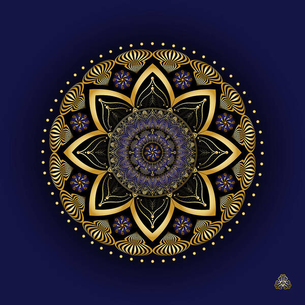 Mandala Poster featuring the digital art Circumplexical No 3991 by Alan Bennington