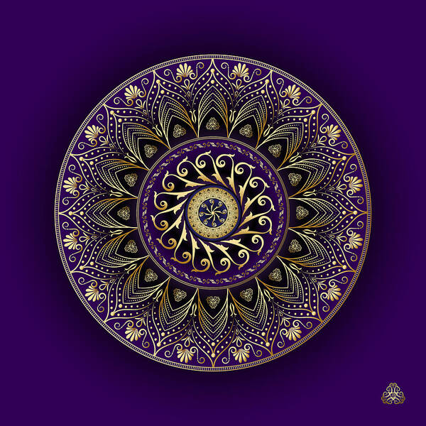Mandala Poster featuring the digital art Circumplexical No 4006 by Alan Bennington