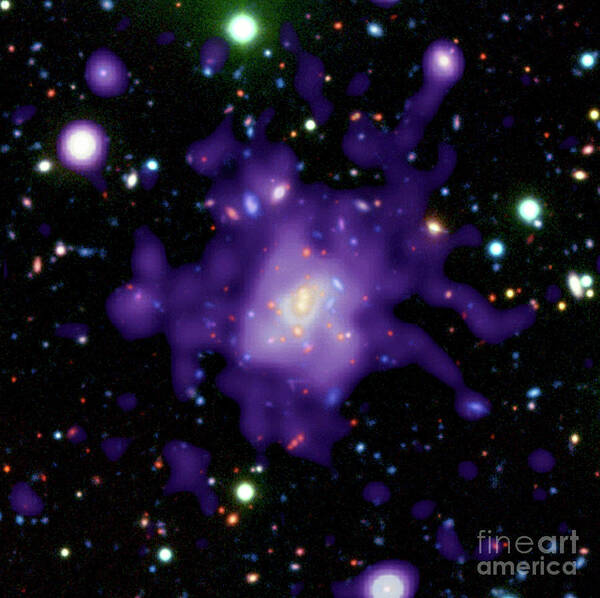 Astronomical Poster featuring the photograph Galaxy Cluster Rdcs 1252.9-2927 by P. Rosati/nasa/esa/stsci/science Photo Library