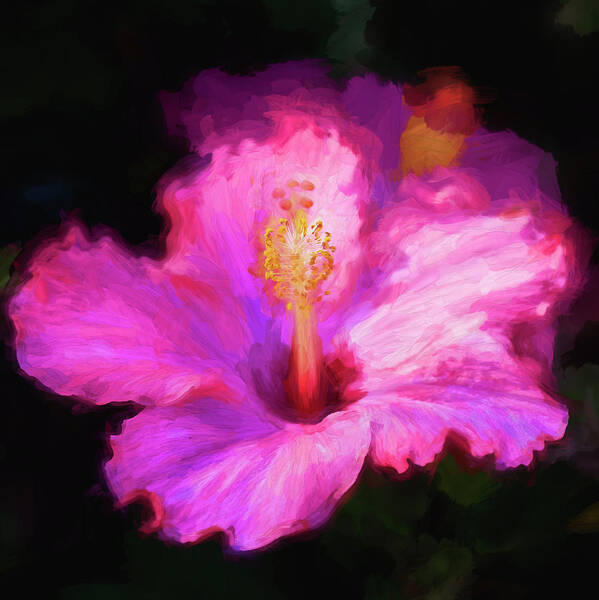 Nature Poster featuring the photograph Hibiscus Painted Lady 107 by Rich Franco