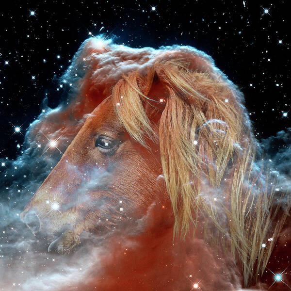 Horsehead Nebula Poster featuring the photograph Horsehead Nebula with Horse Head Outer Space Image by Bill Swartwout