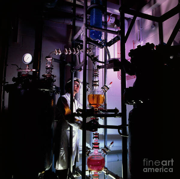 Industry Poster featuring the photograph Industrial Chemist Monitoring A Reaction by Colin Cuthbert/science Photo Library