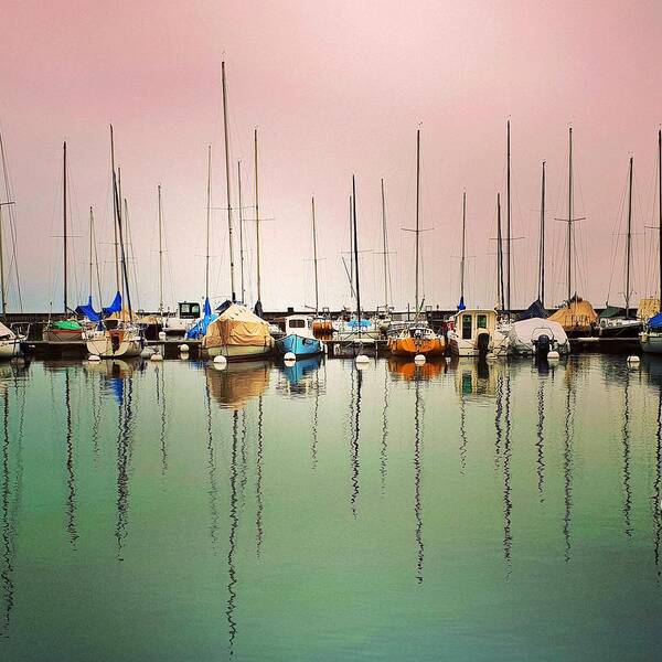 Harbor Poster featuring the photograph Boats in the Fog by Andrea Whitaker