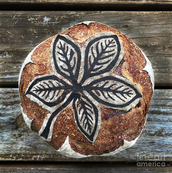 Bread Poster featuring the photograph Leaf Painted And Scored Sourdough 4 by Amy E Fraser