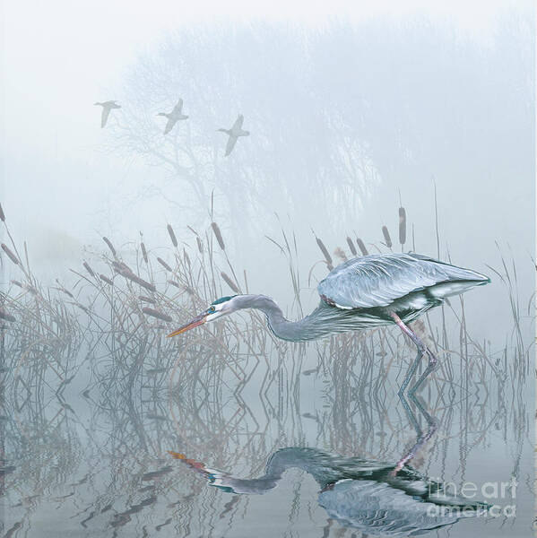 Grey Heron Poster featuring the digital art Looking for an early catch by Brian Tarr
