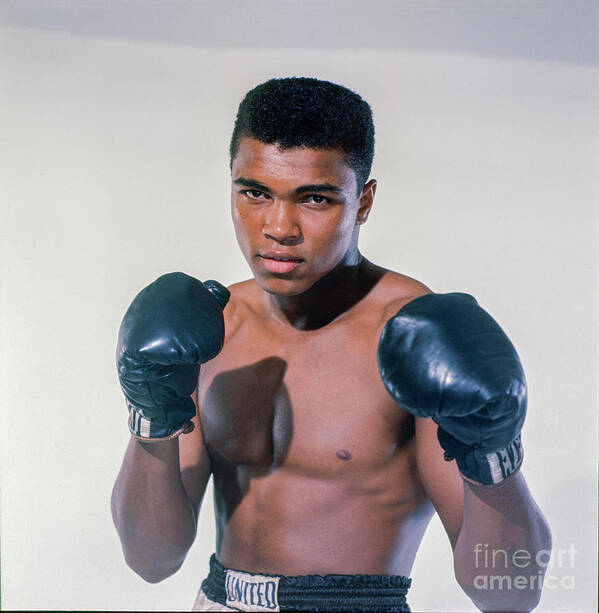 Heavyweight Poster featuring the photograph Muhammad Ali by The Stanley Weston Archive