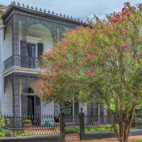 Garden District Poster featuring the photograph Musson Bell House by Susan Rissi Tregoning