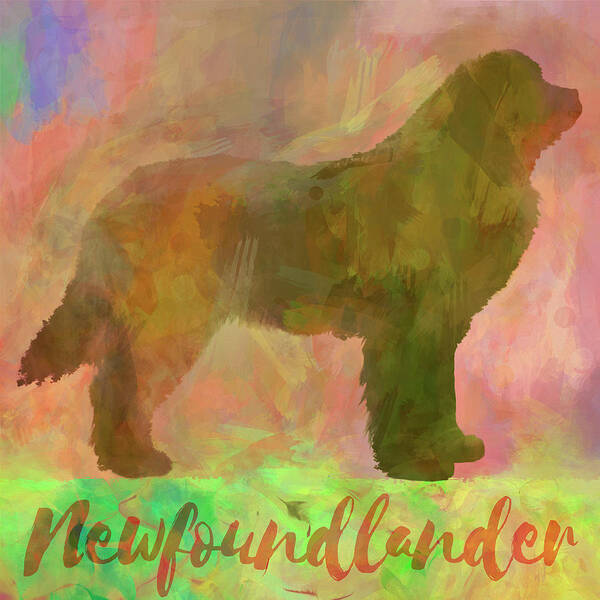 Newfoundlander Dog Poster featuring the photograph Newfoundlander Dog by Cora Niele