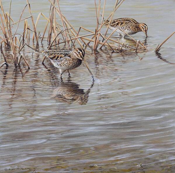 Snipe Poster featuring the painting Pair of Snipe by Alan M Hunt by Alan M Hunt