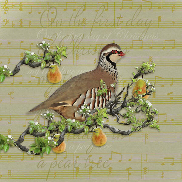 Christmas Poster featuring the mixed media Partridge In A Pear Tree by Leslie Wing