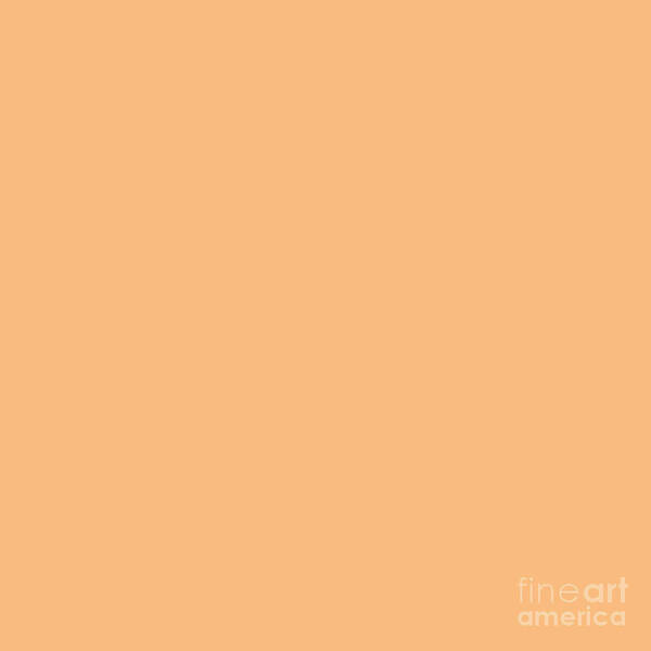 Peach Poster featuring the digital art Peach Orange Solid Color by Delynn Addams for Interior Home Decor by Delynn Addams