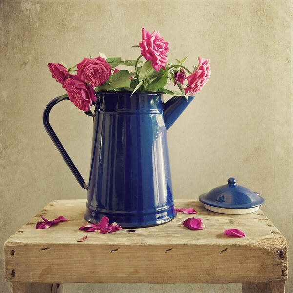 Petal Poster featuring the photograph Pink Roses And Blue Jug by Copyright Anna Nemoy(xaomena)
